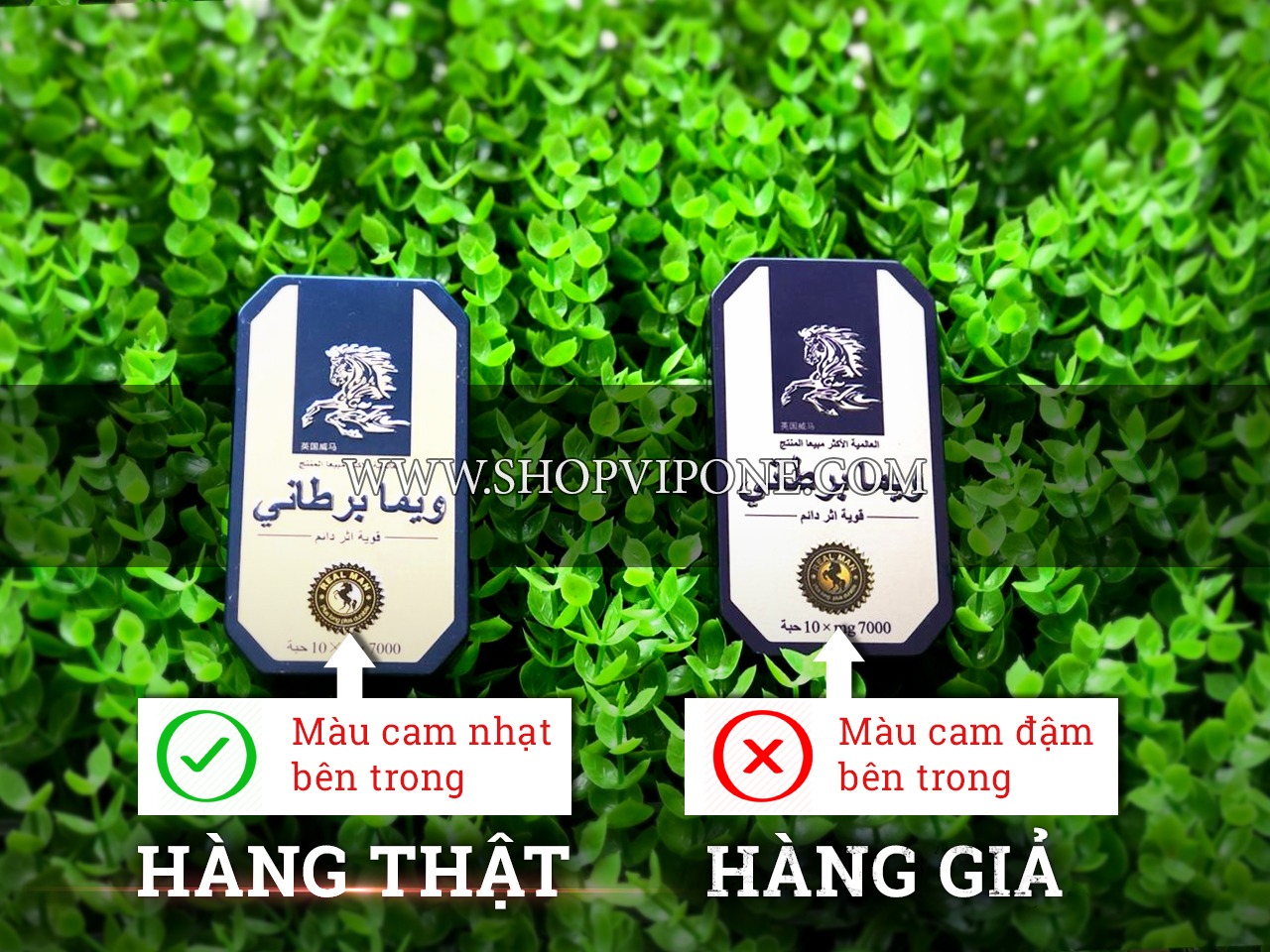 Viên uống ngựa thái