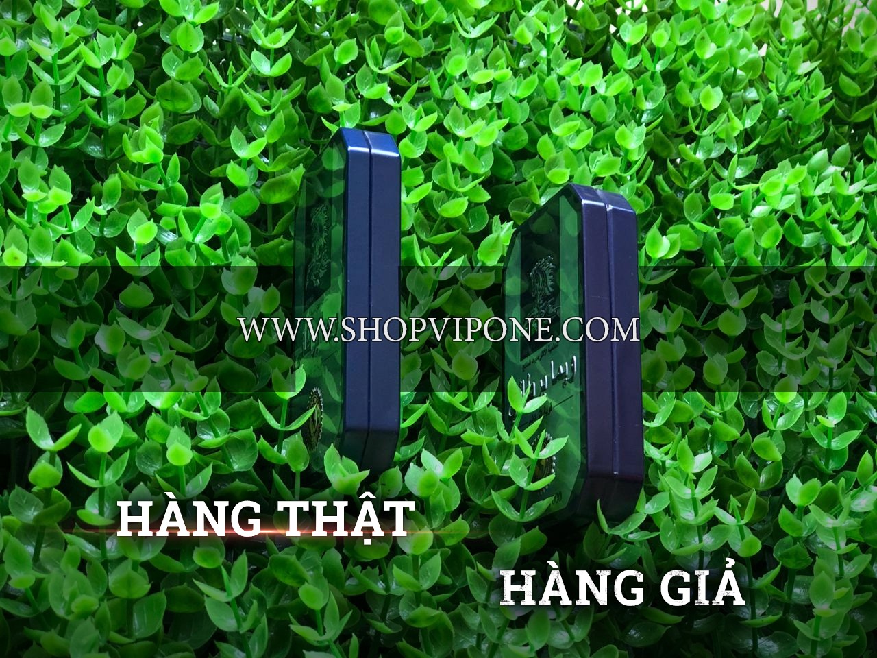 Thuốc ngựa thái