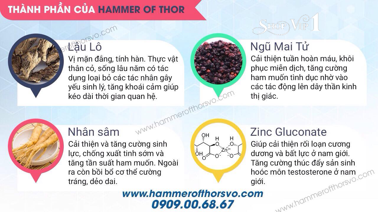 Thành Phần Hammer of thor