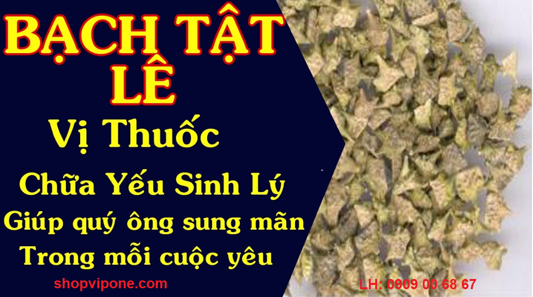 bạch tật lê trong hammer of thor
