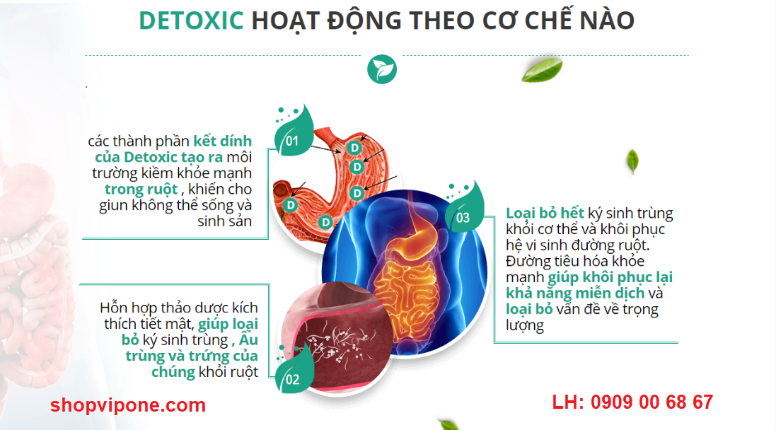 thành phần thuốc Detoxic nga