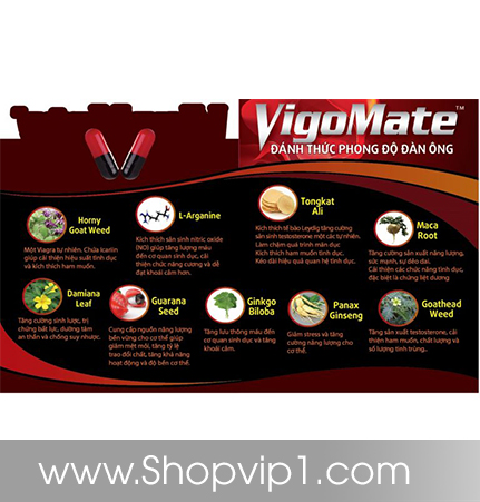 thành phần viên uống vigomate