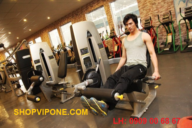 THỂ THAO CHỮA YẾU SINH LÝ