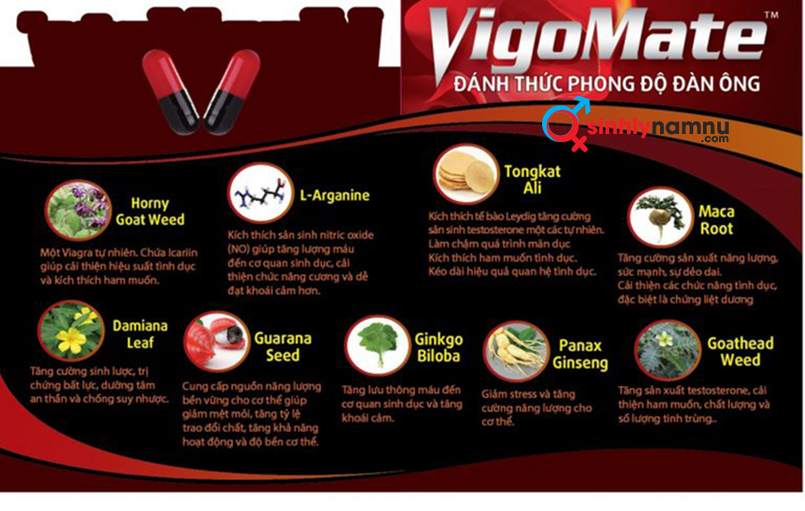 UỐNG VIÊN VIGOMATE TRỊ YẾU SINH LÝ NAM 