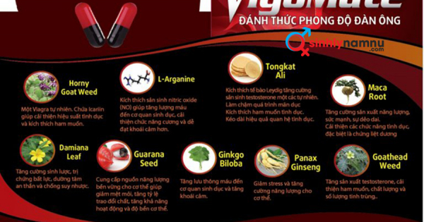 UỐNG VIÊN VIGOMATE TRỊ YẾU SINH LÝ NAM 