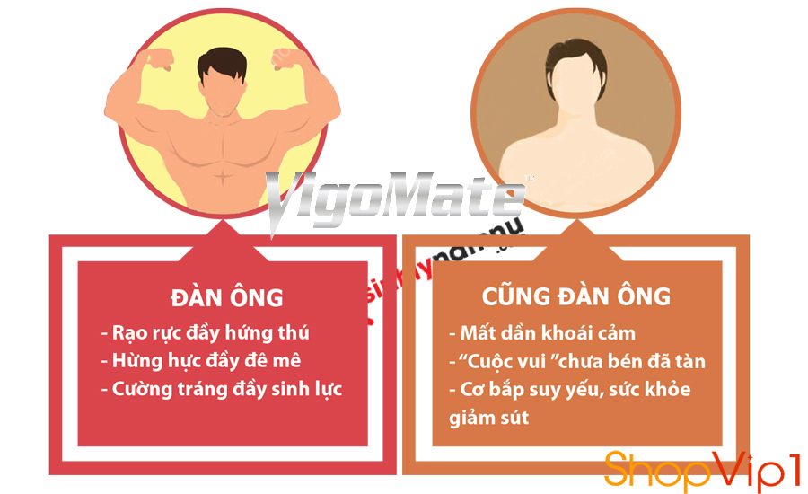 MUA VIÊN UỐNG VIGOMATE