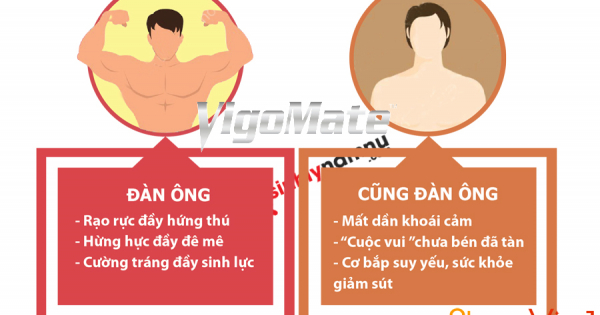 MUA VIÊN UỐNG VIGOMATE