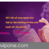 Dương Vật Giả Cao Cấp Hot Bunny Như Thật